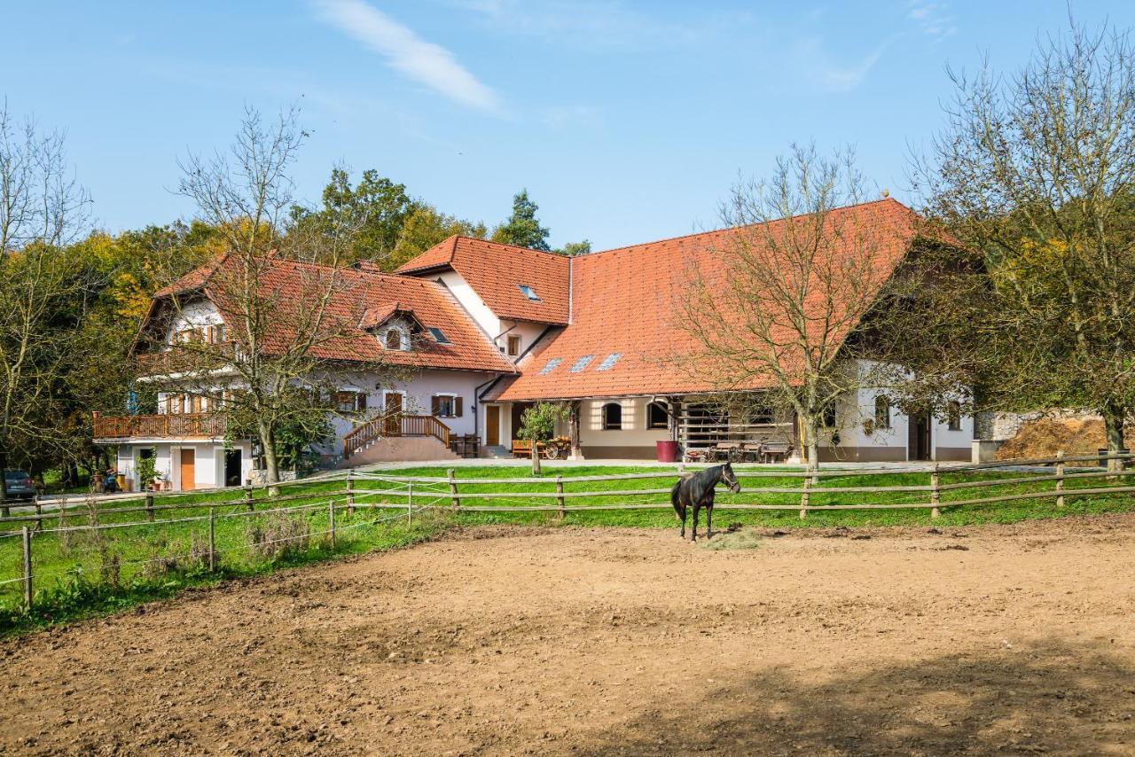 Apartment Zynga - Stud Farm Sentvid Pri Sticni Ngoại thất bức ảnh