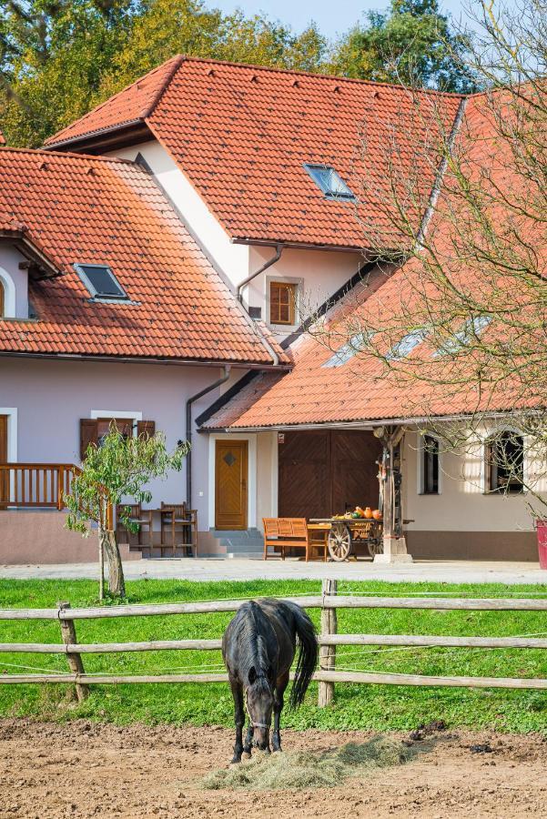 Apartment Zynga - Stud Farm Sentvid Pri Sticni Ngoại thất bức ảnh